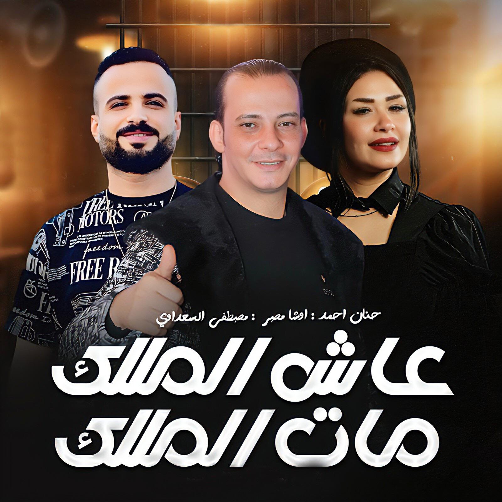مصطفى السعداوى