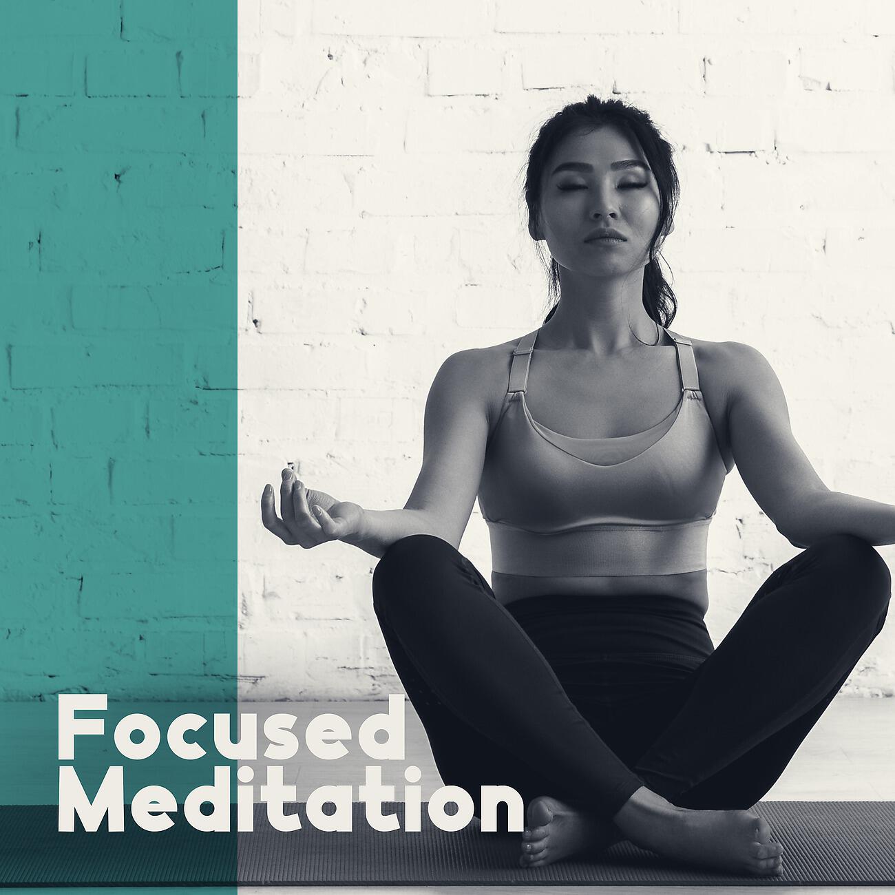 Релиз Focused Meditation