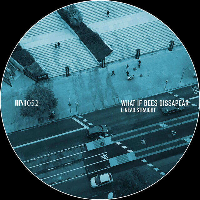 Релиз What If Bees Dissapear