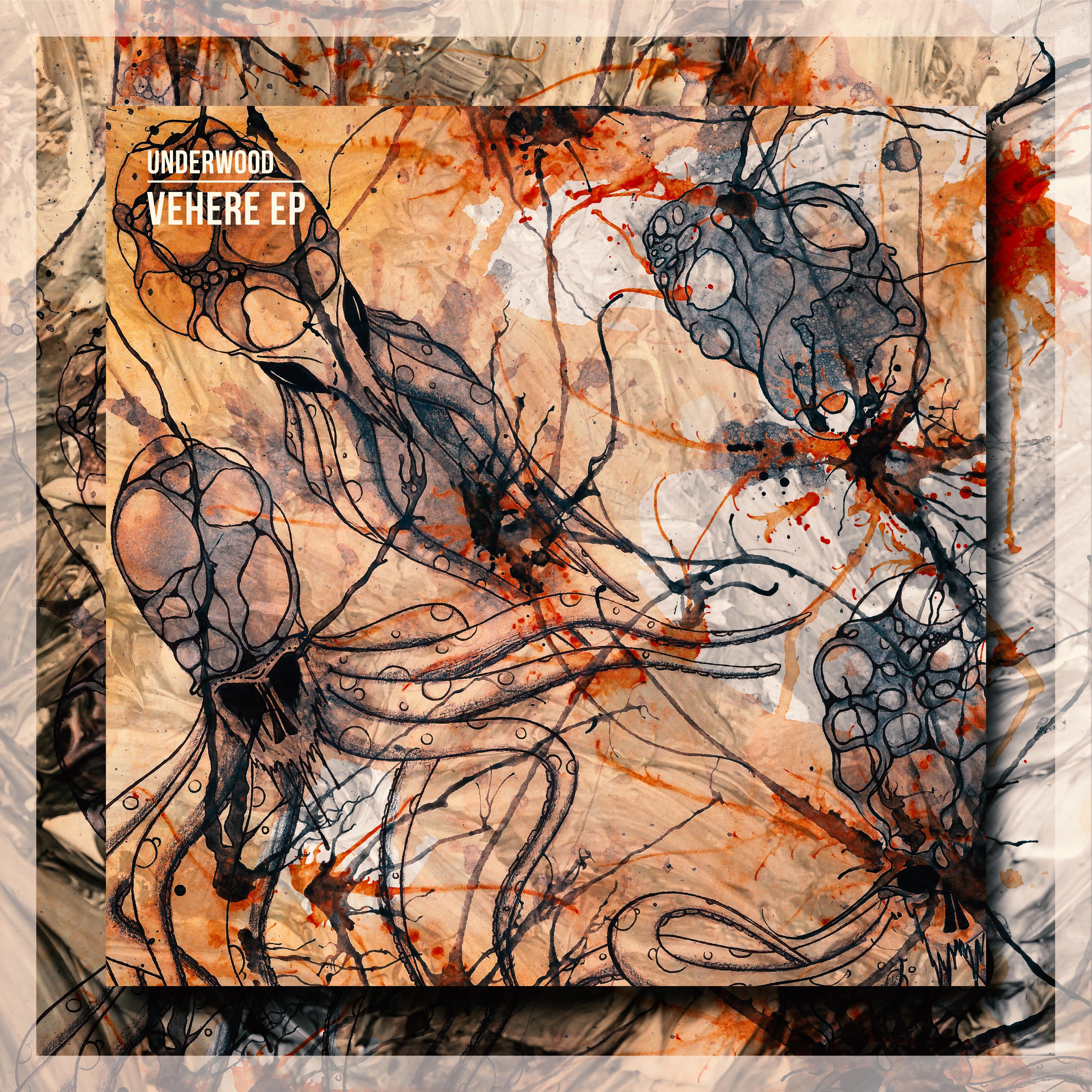 Релиз Vehere