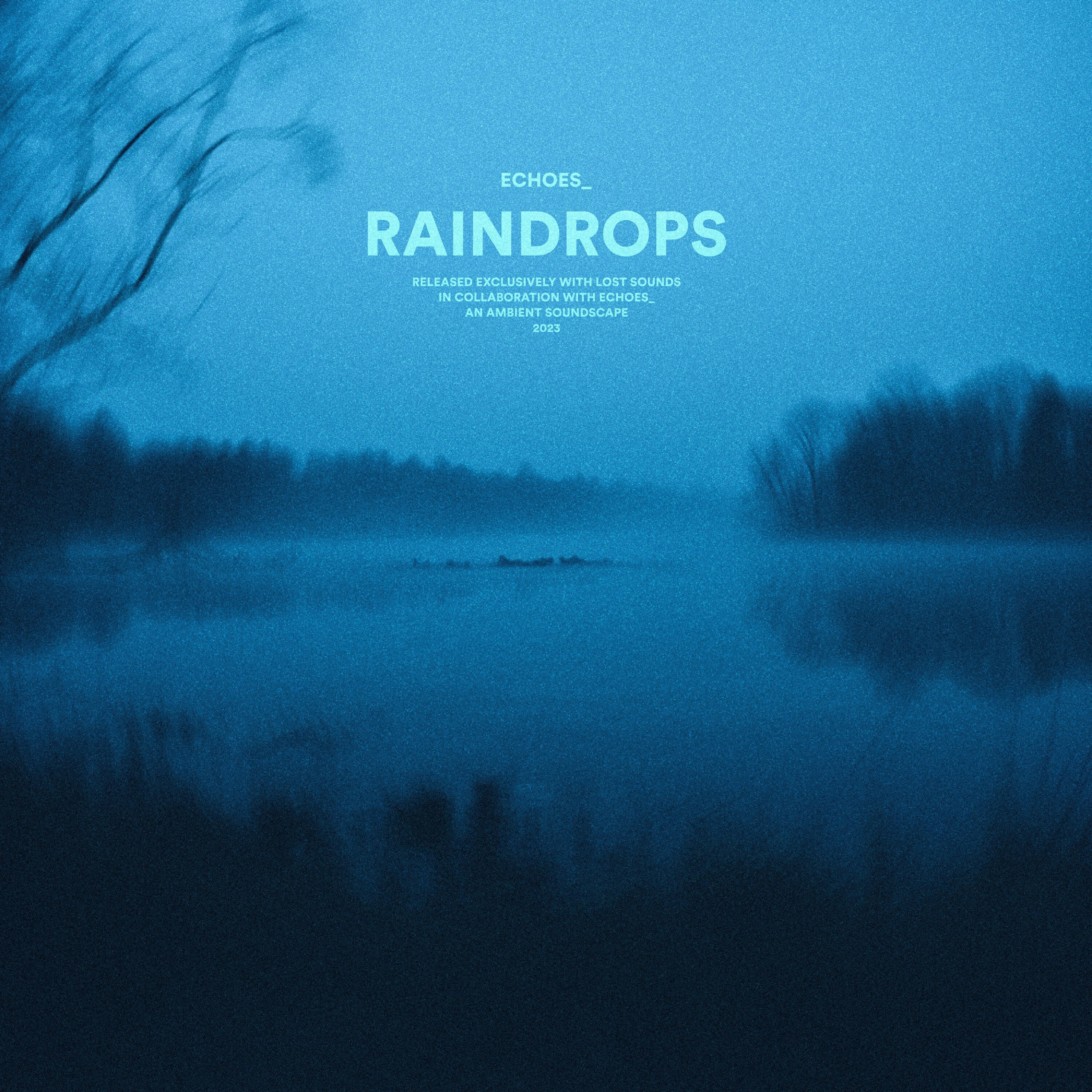Релиз raindrops