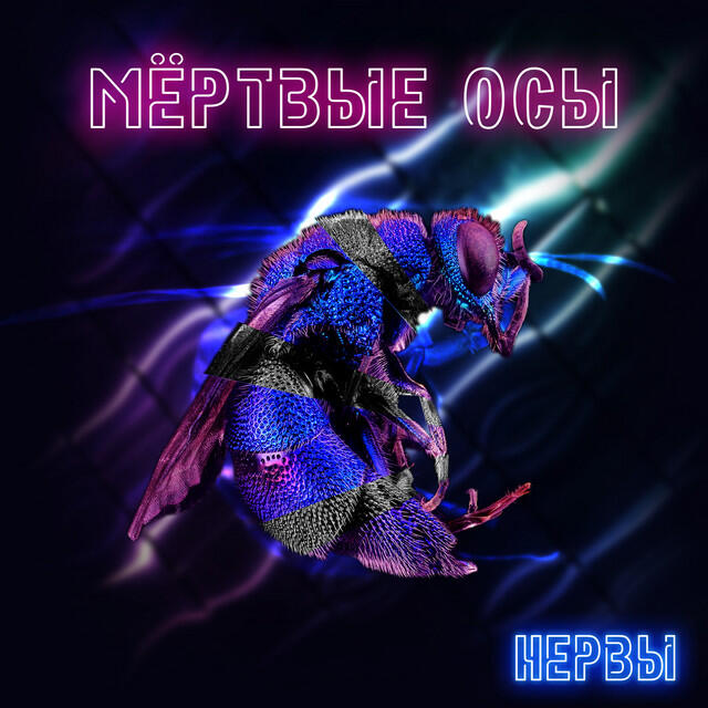 Релиз Нервы