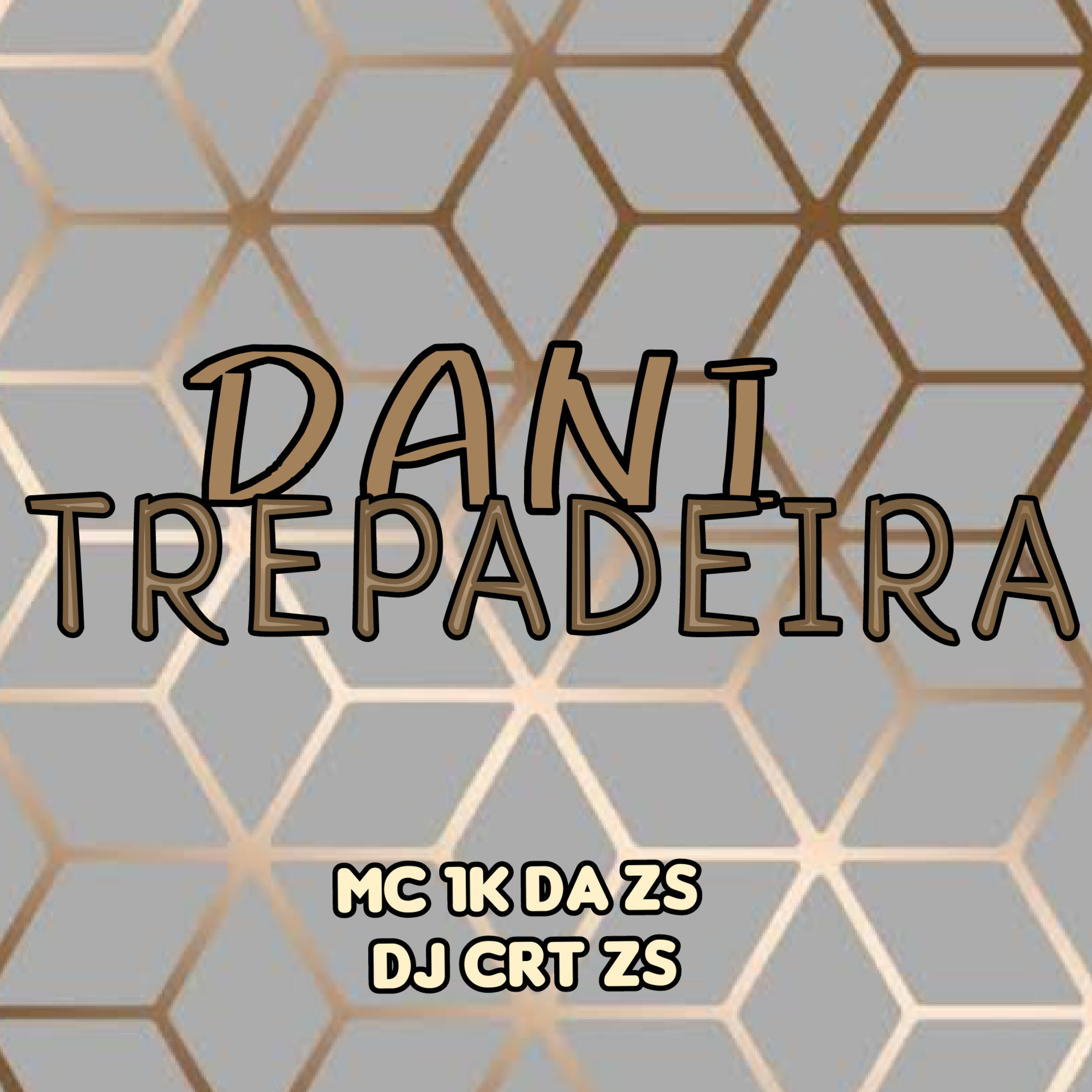 Скачать песню Mc 1k da zs, DJ CRT ZS - Dani Trepadeira бесплатно в MP3 для Android и iOS