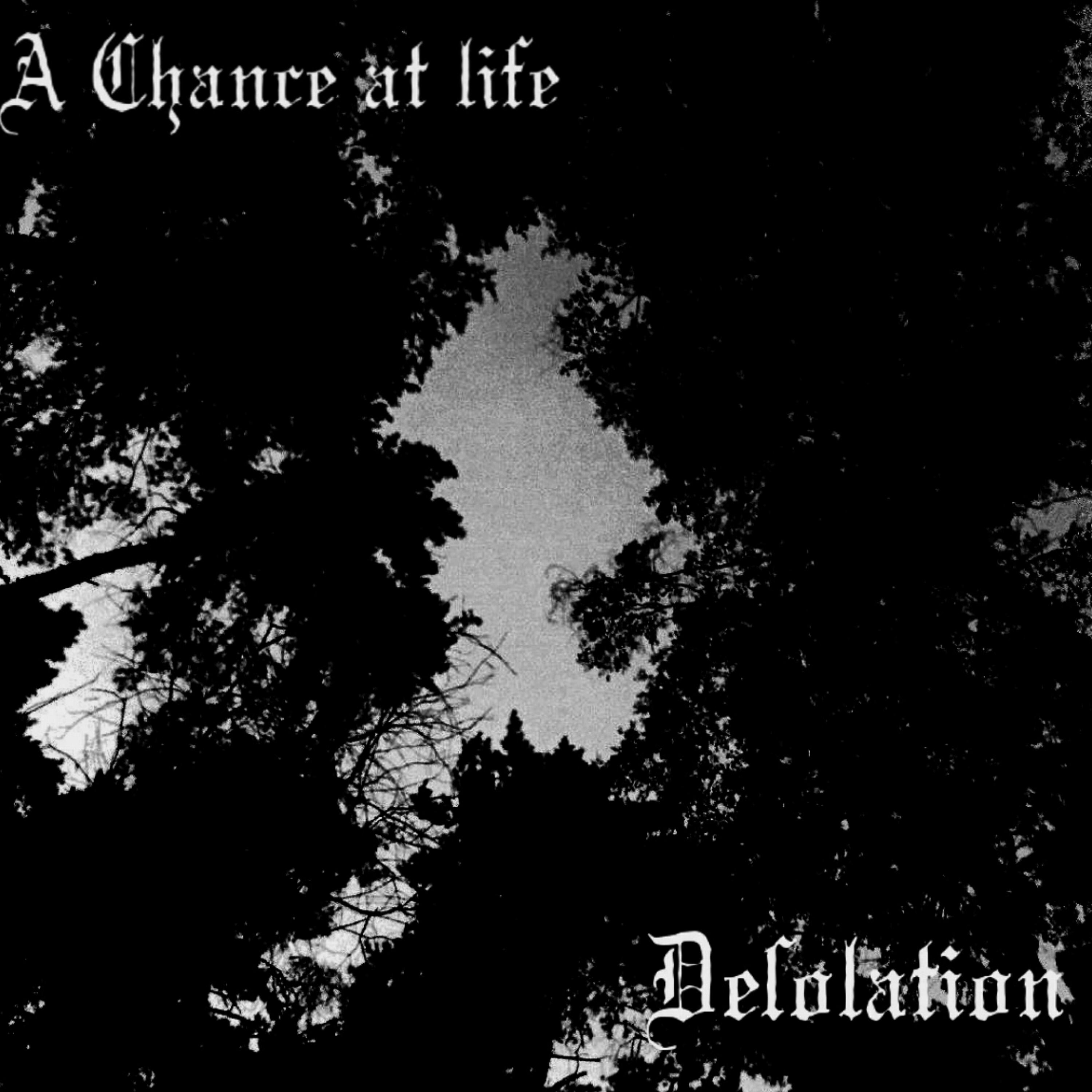 Релиз Desolation