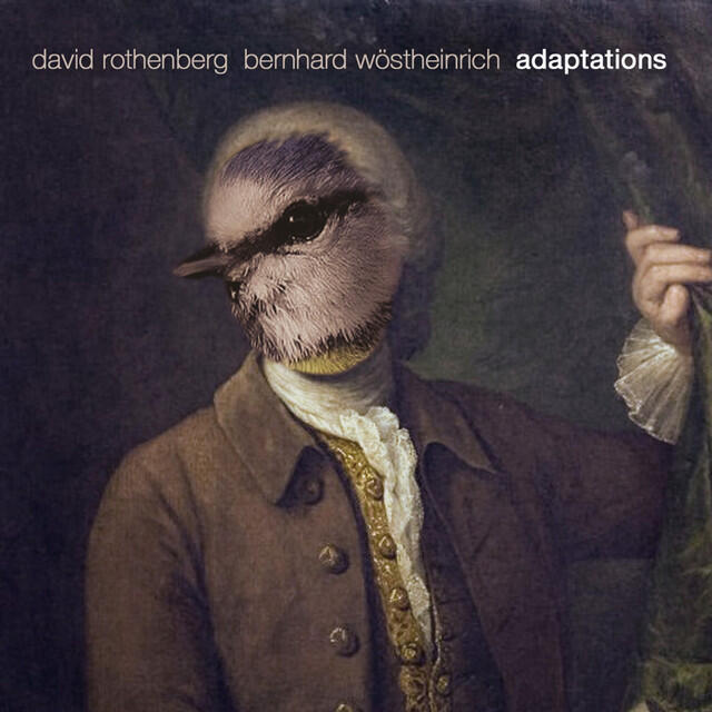 Релиз Adaptations