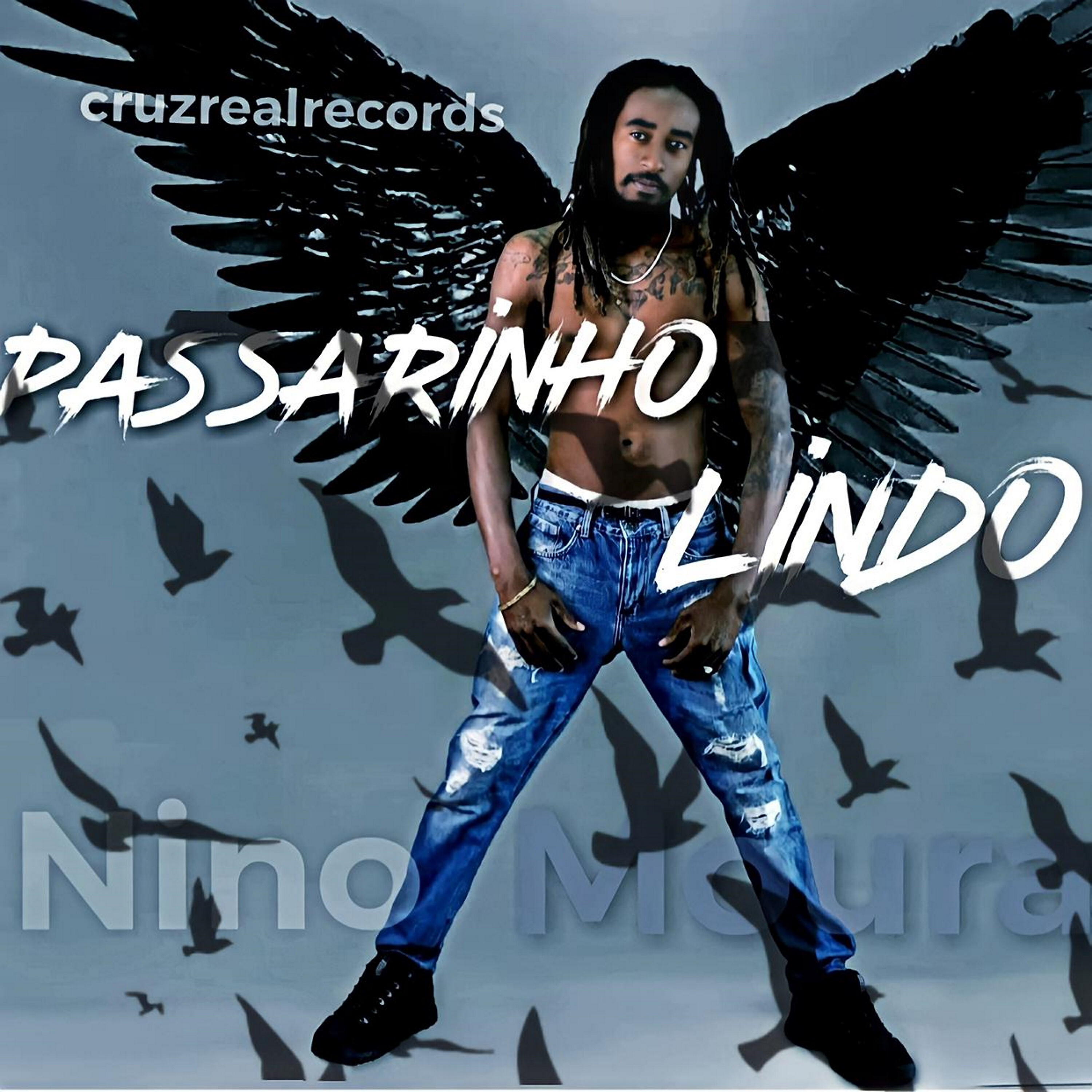 Релиз Passarinho Lindo