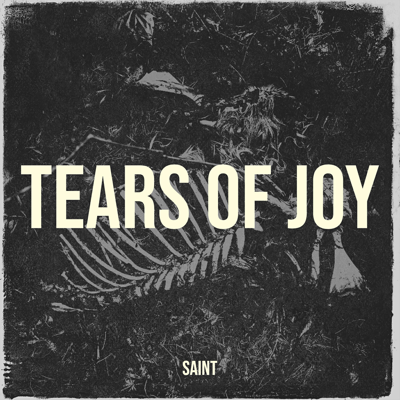 Релиз Tears of Joy