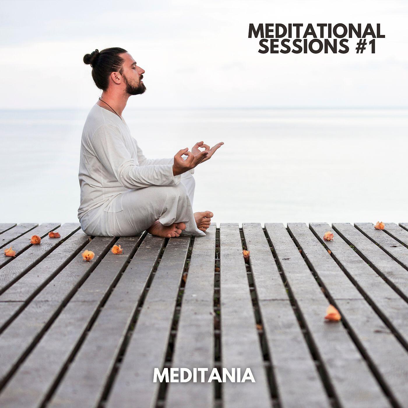 Релиз Meditational Sessions, Vol. 1