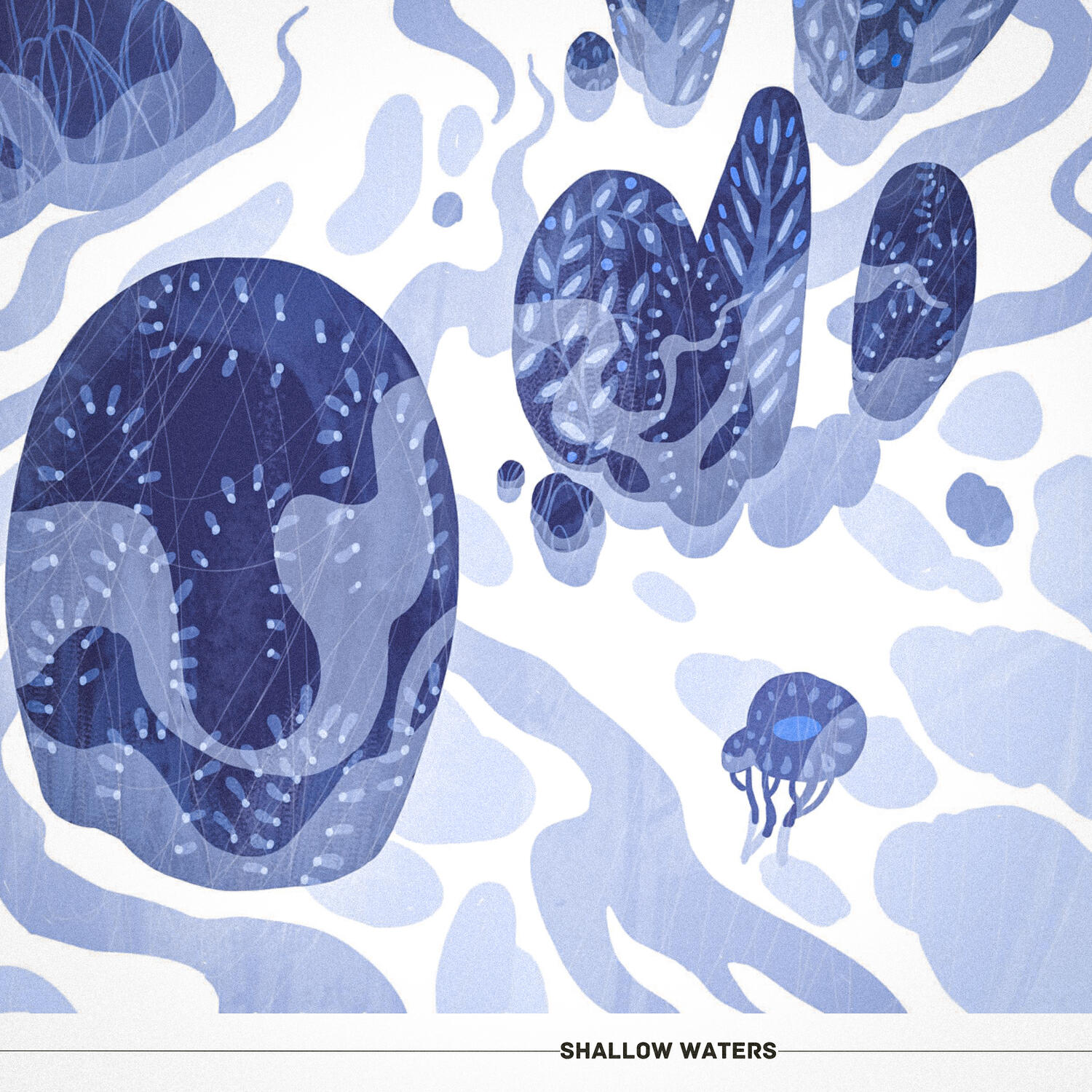 Релиз shallow waters