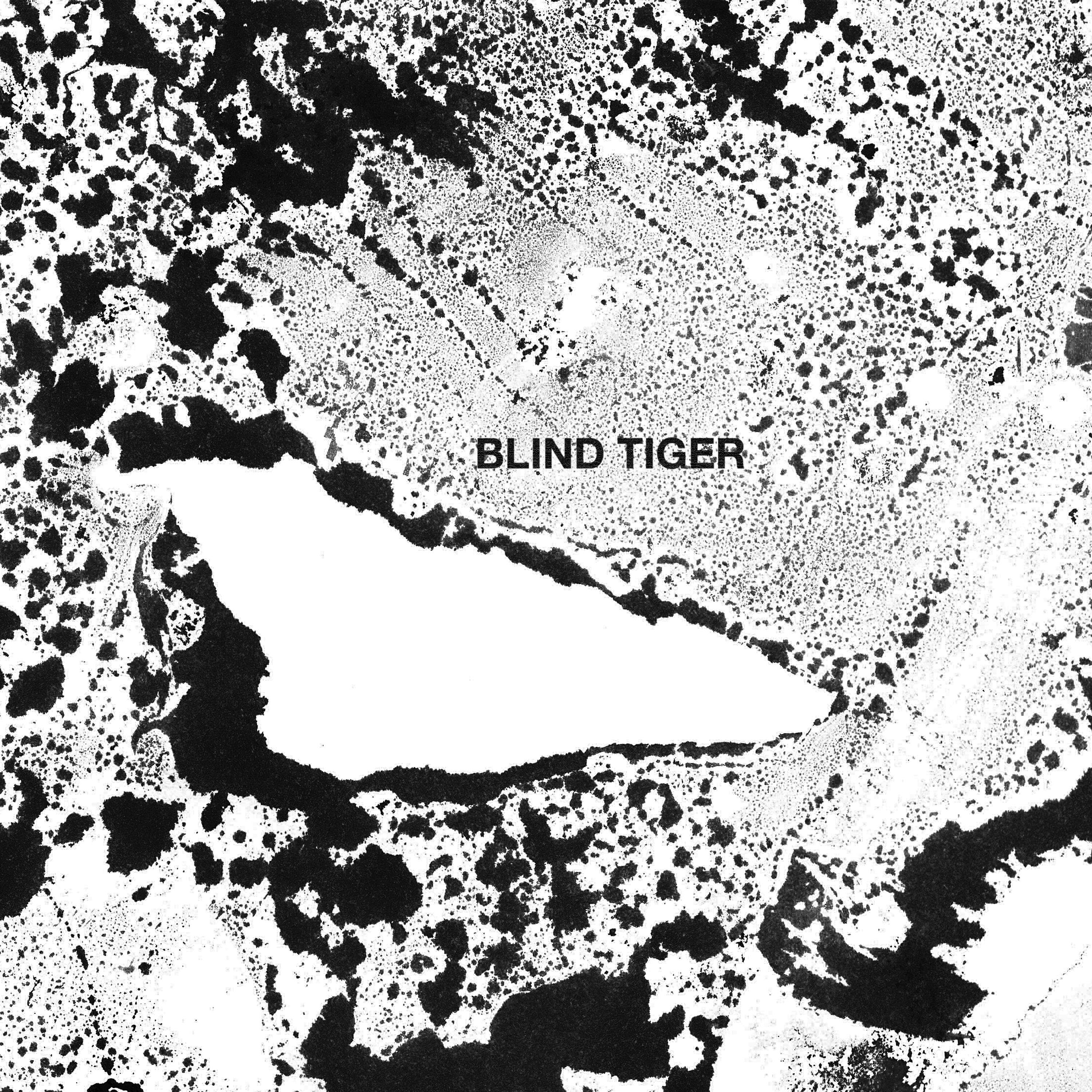 Релиз Blind Tiger