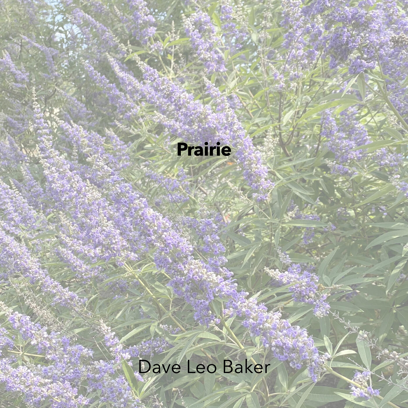 Релиз Prairie