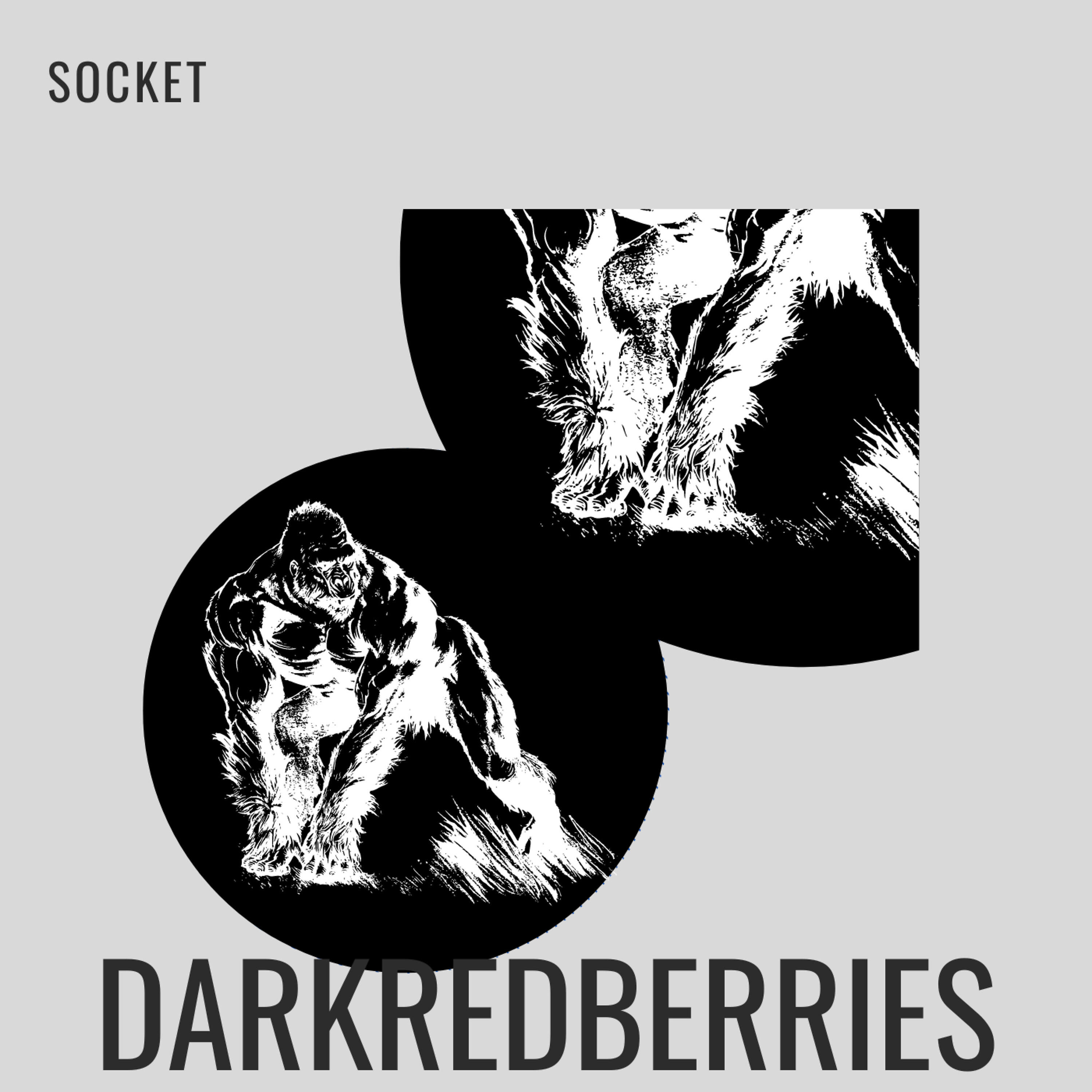 Релиз Socket