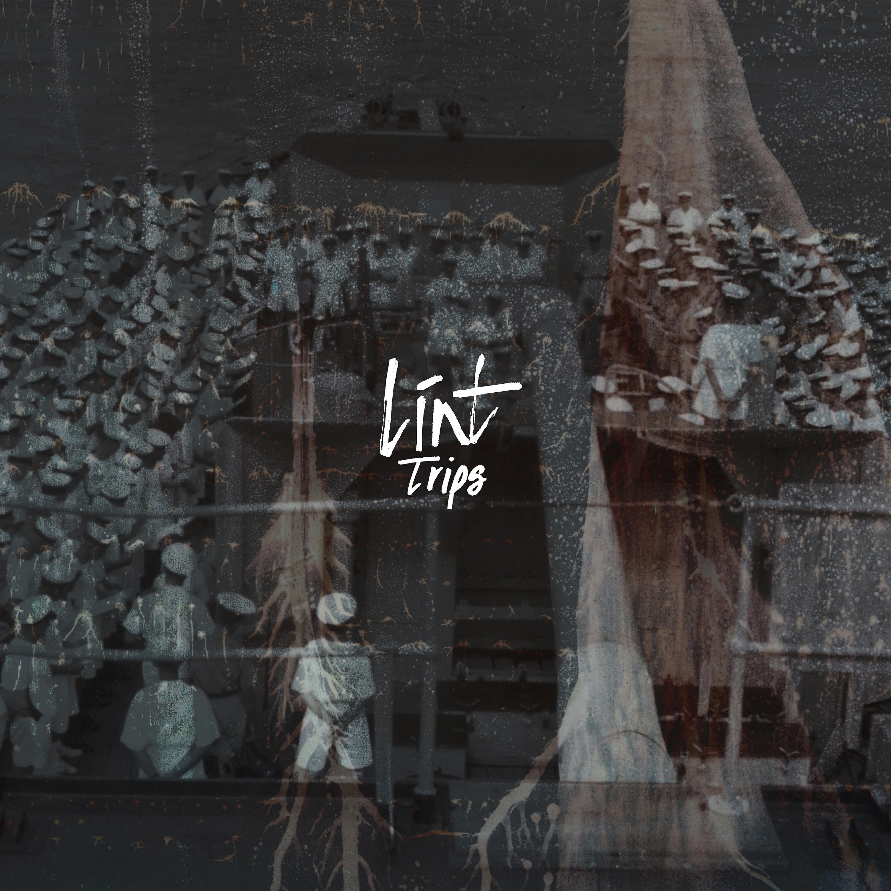 Релиз Trips