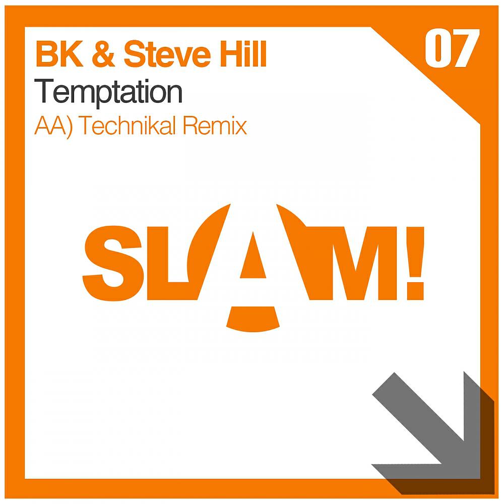 Постер альбома Temptation (Technikal Remix)