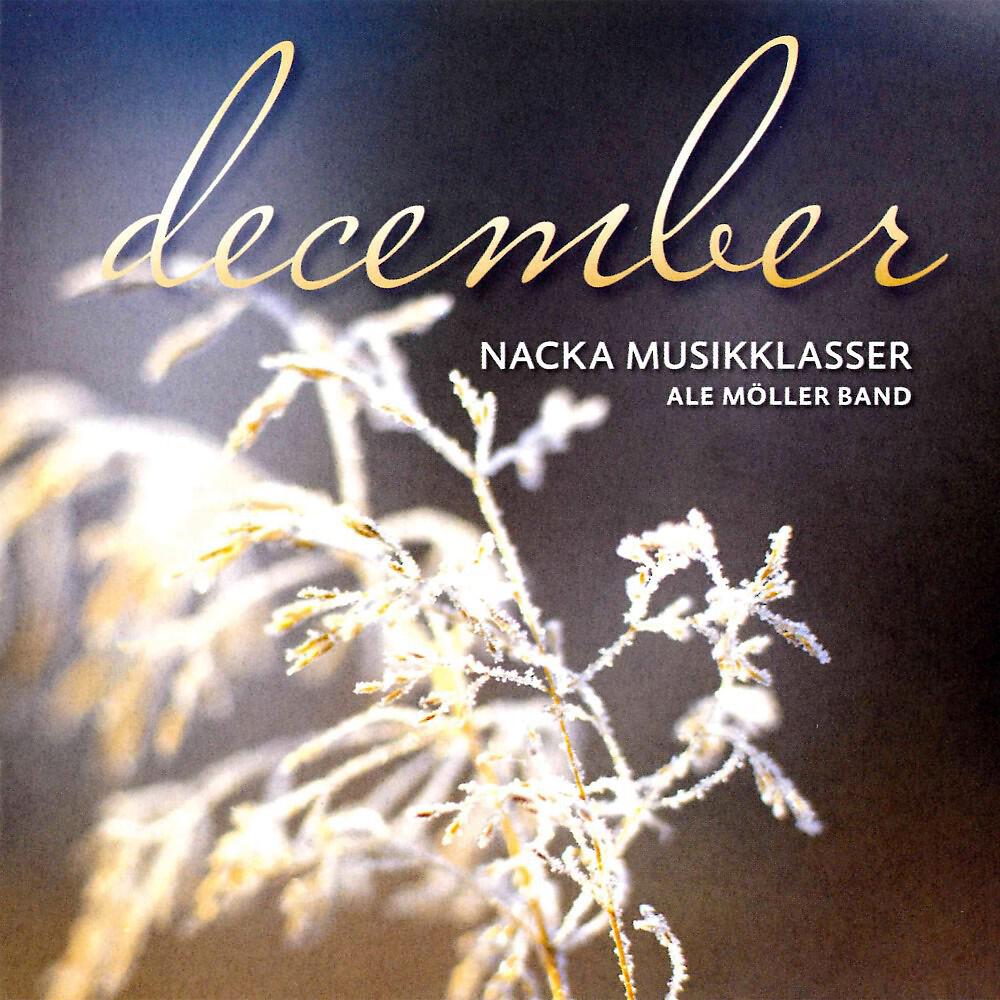 Релиз December