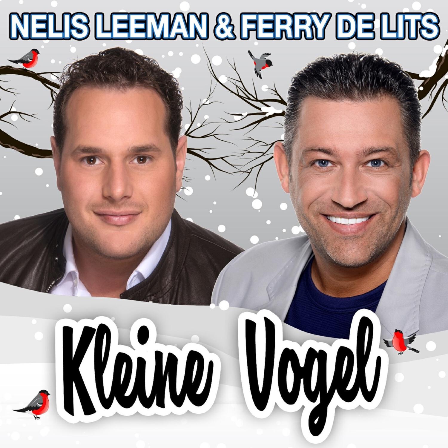 Релиз Kleine Vogel