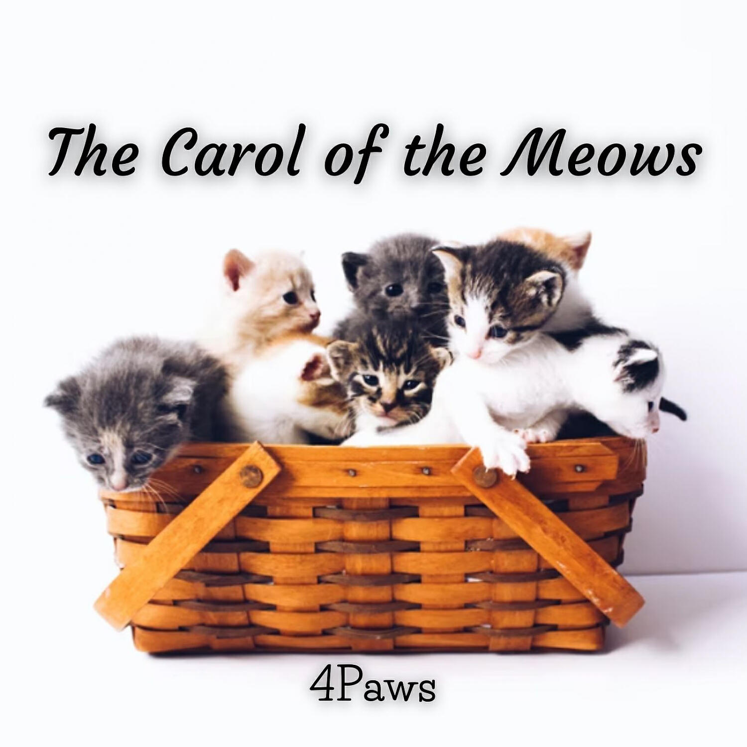 Cat Music Therapy & Music For Cats and Dogs & Cat Music - Pleasing Melody