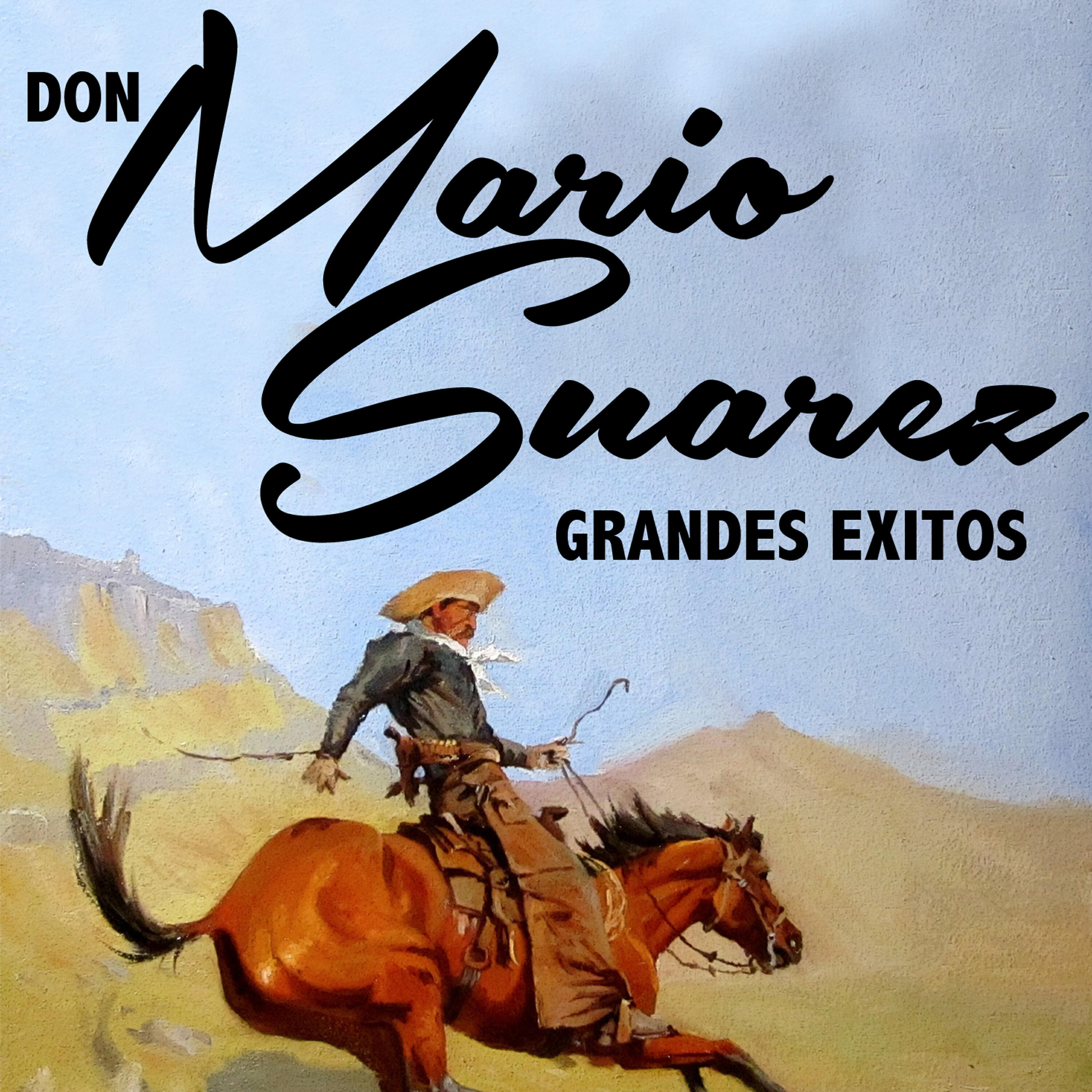 Don Mario Suárez