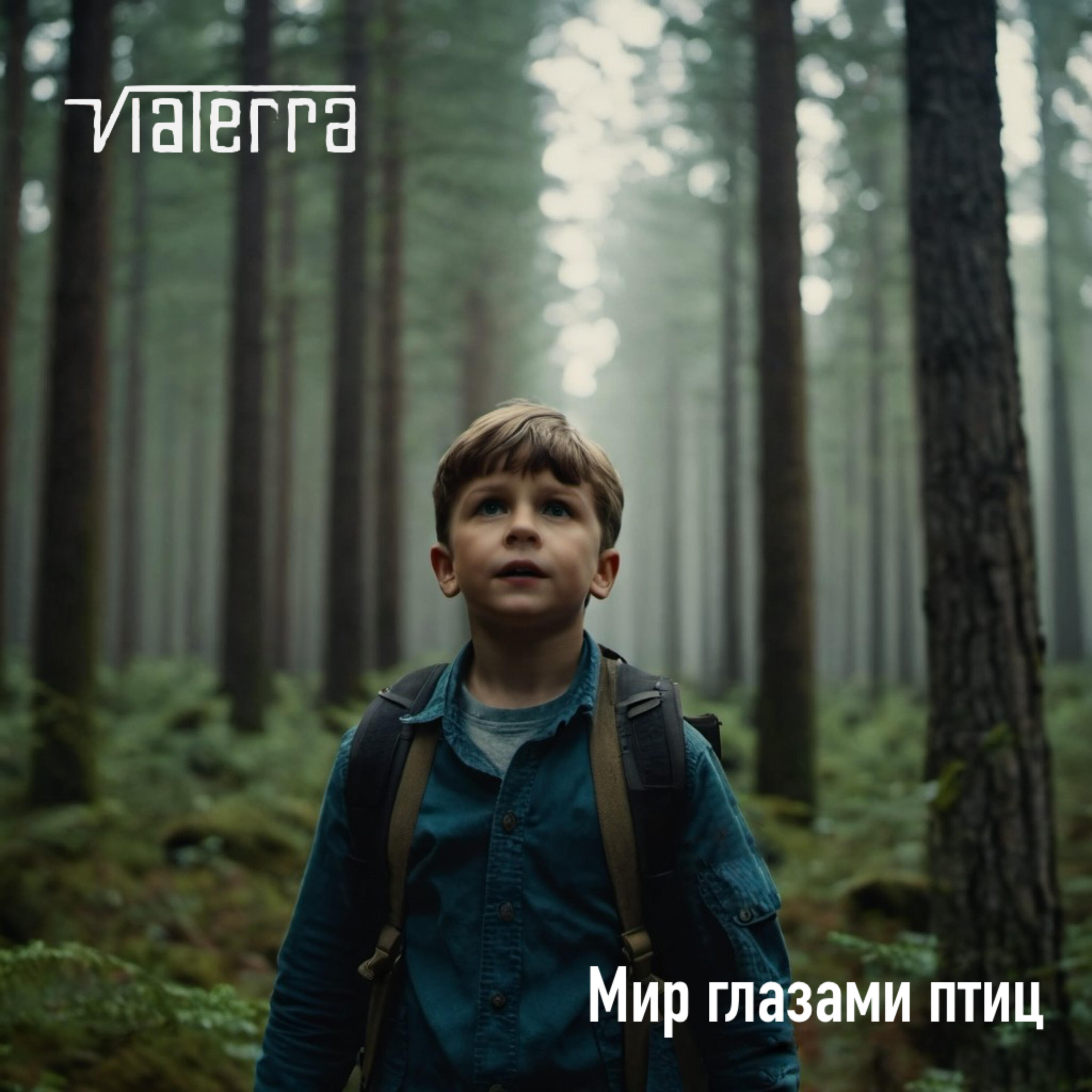 Релиз Мир глазами птиц