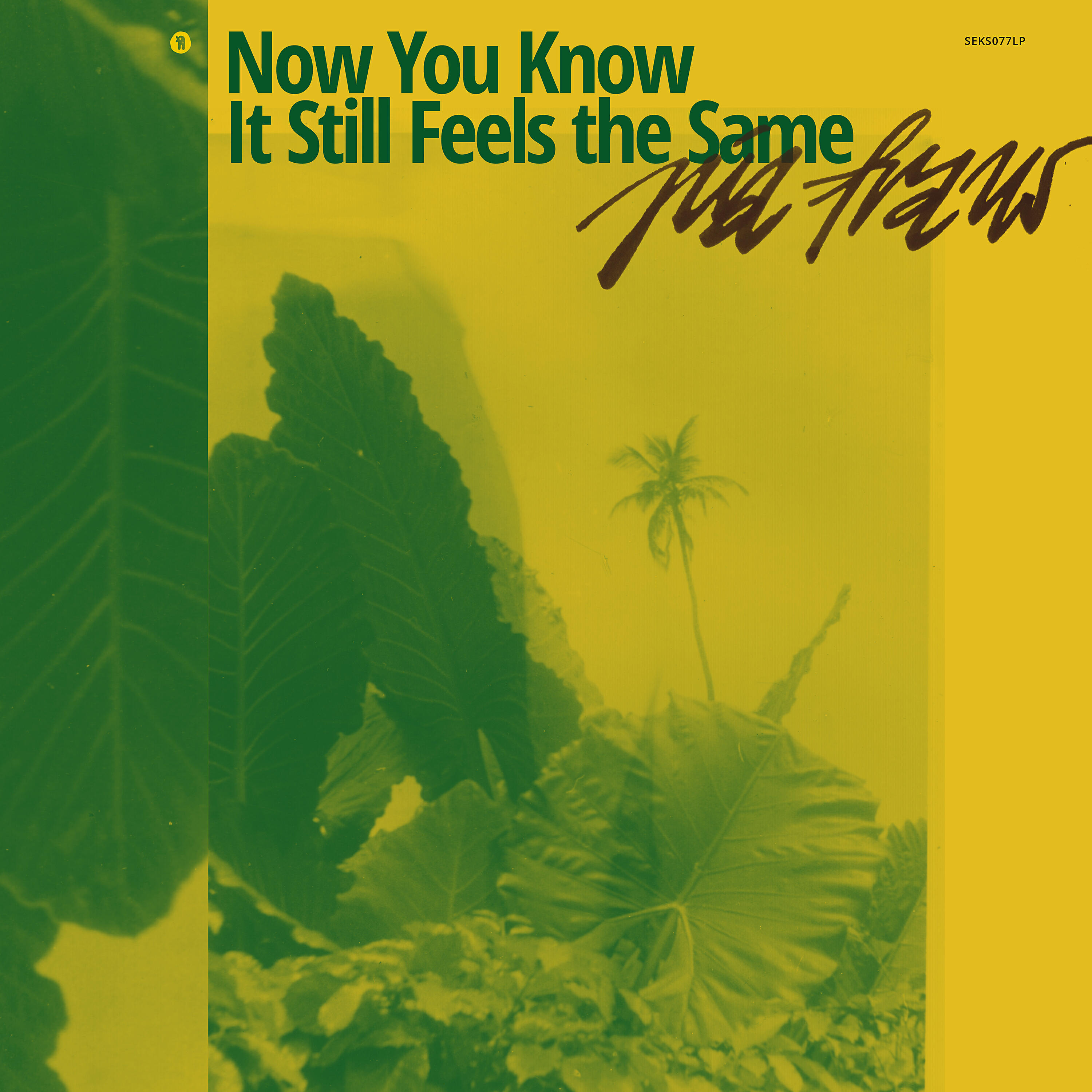 Релиз Now You Know It Still Feels the Same