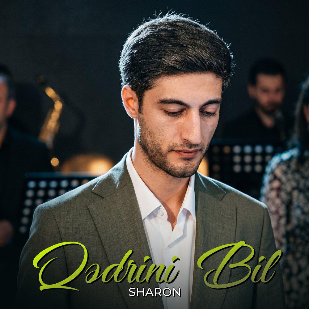 Релиз Qədrini Bil