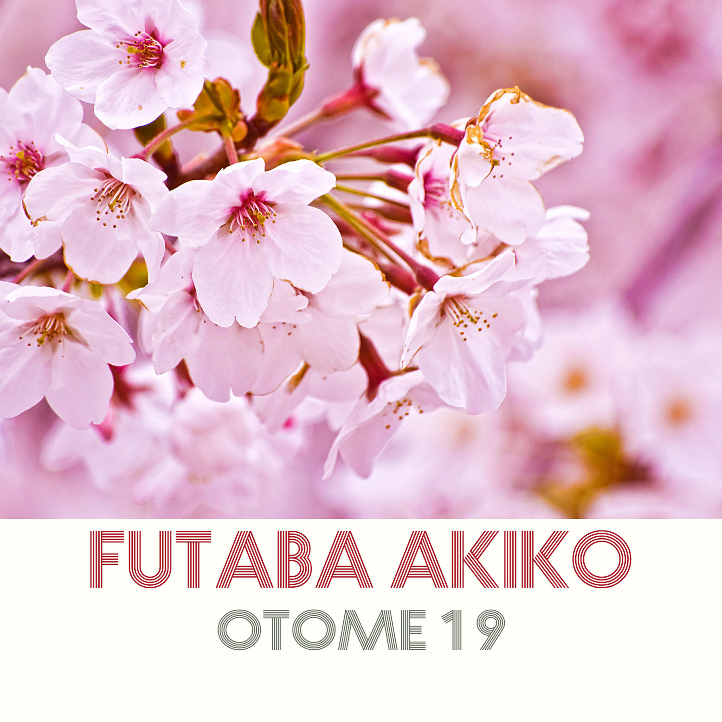 Релиз Otome 19
