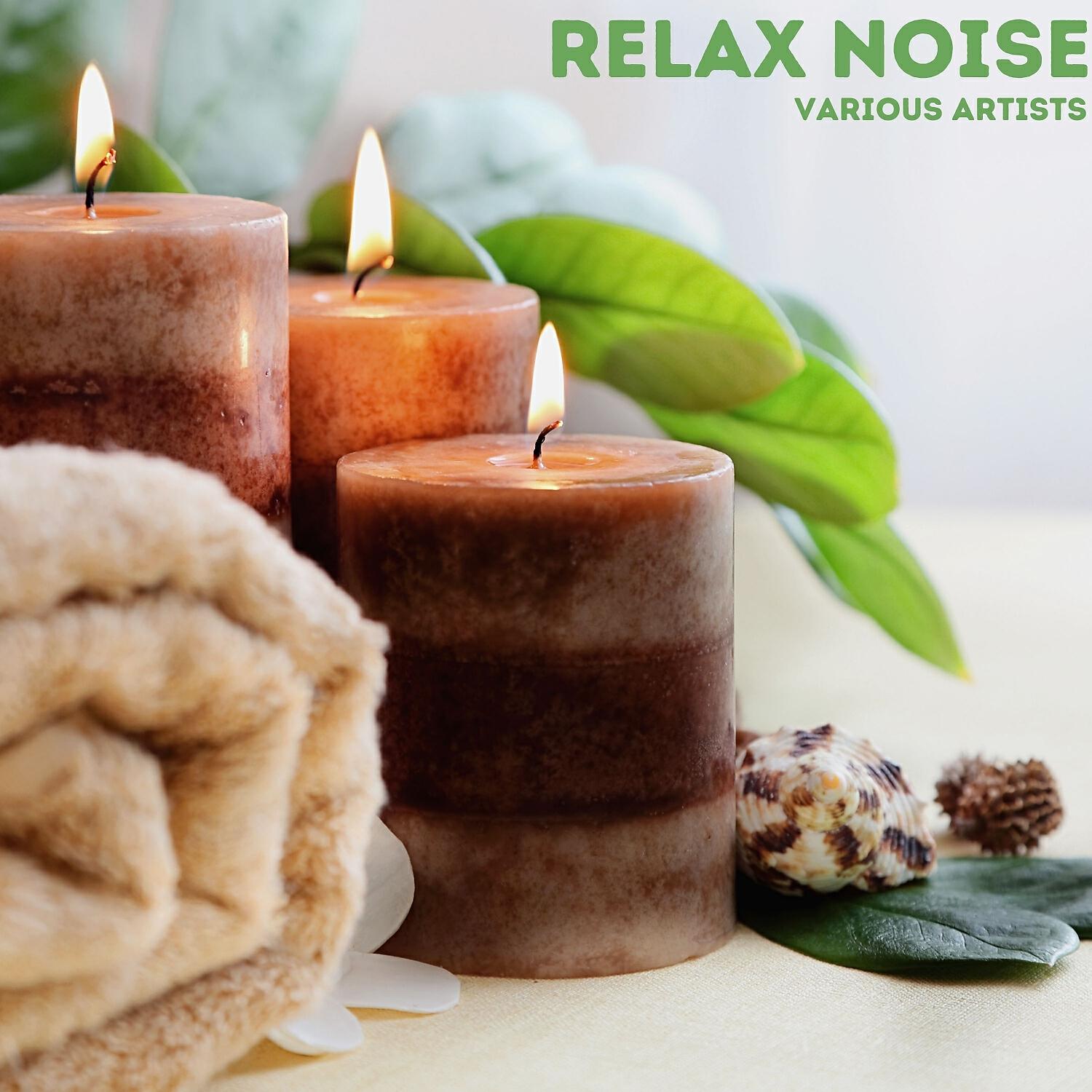 Постер альбома Relax Noise
