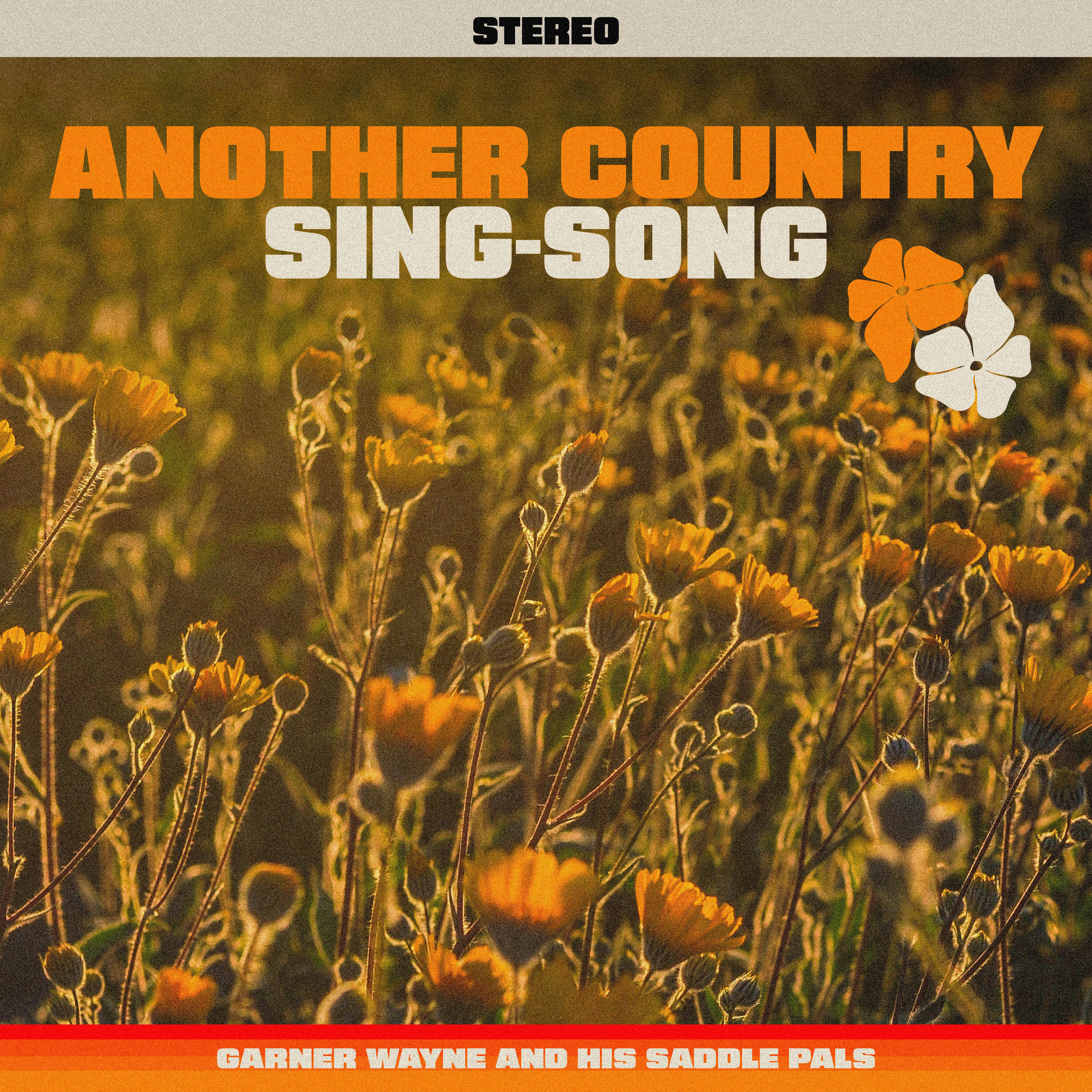 Релиз Another Country Sing-Song