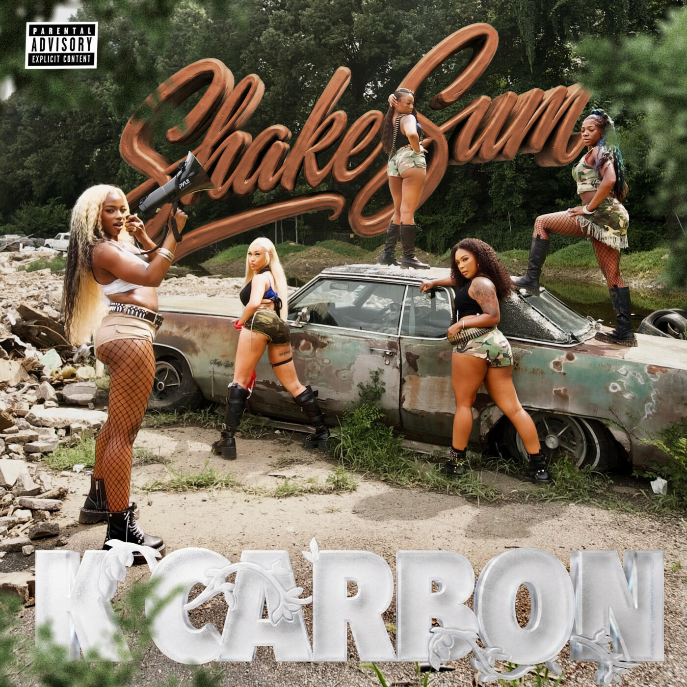 Релиз Shake Sum