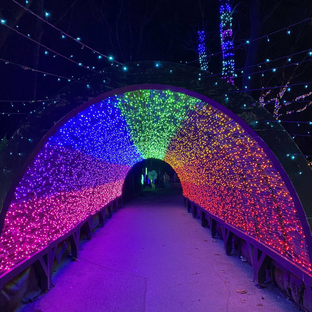 Релиз Rainbow Road