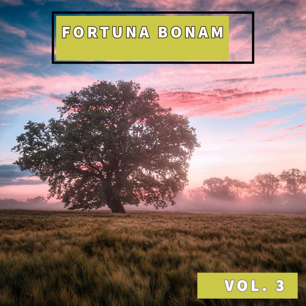 Релиз Fortuna Bonam, Vol. 3