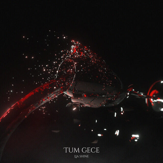 Релиз Tüm Gece