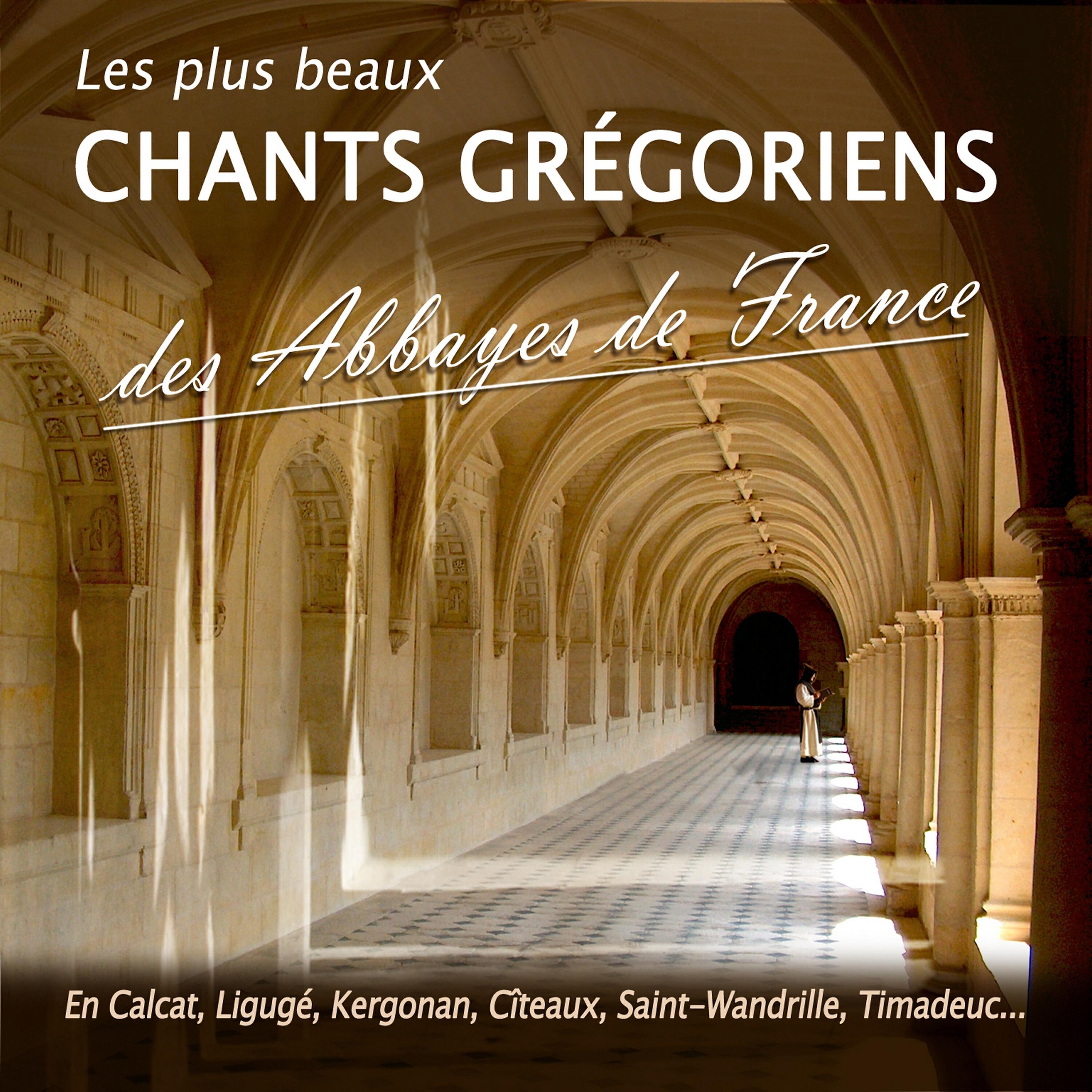 Релиз Les plus beaux chants grégoriens des abbayes de France