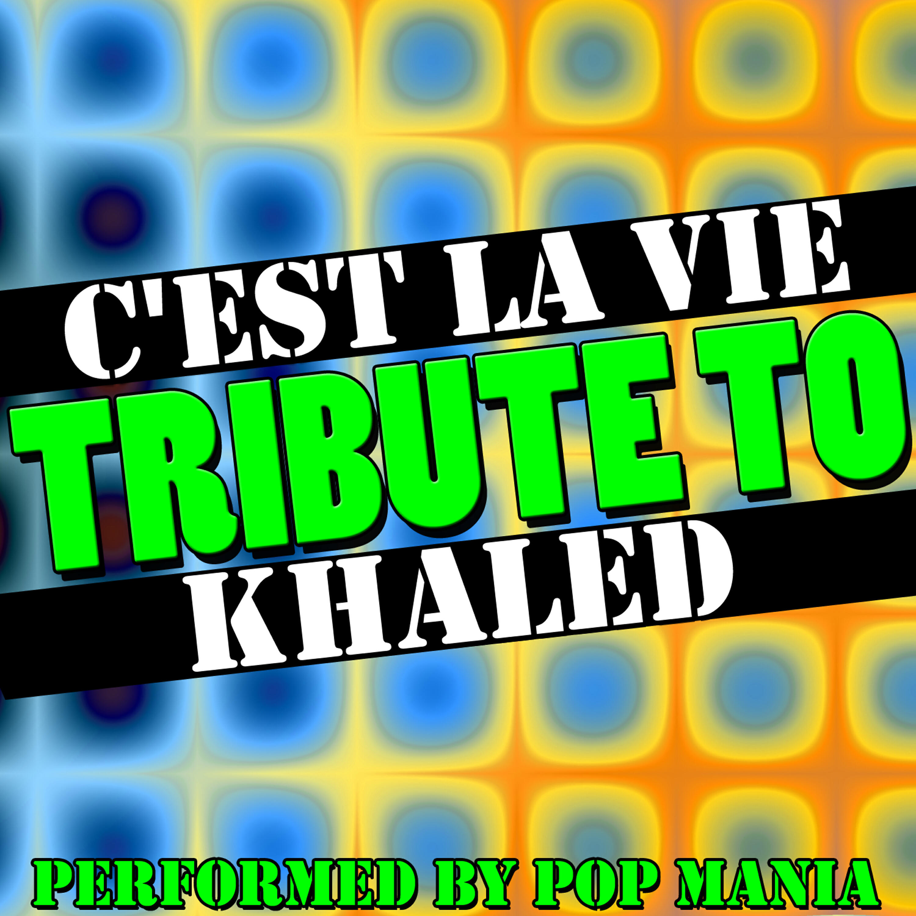 Релиз C'est La Vie (Tribute to Khaled) - Single