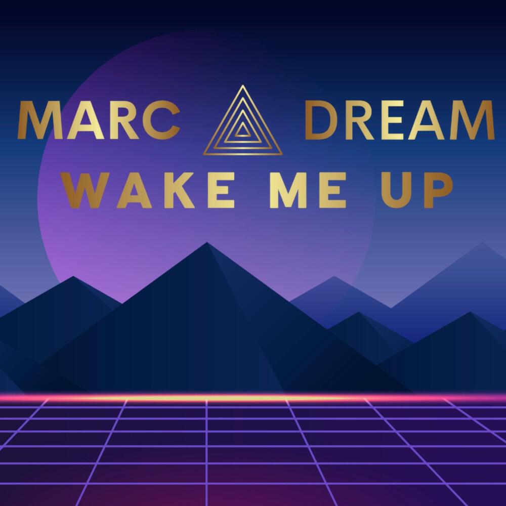 Релиз Wake Me Up