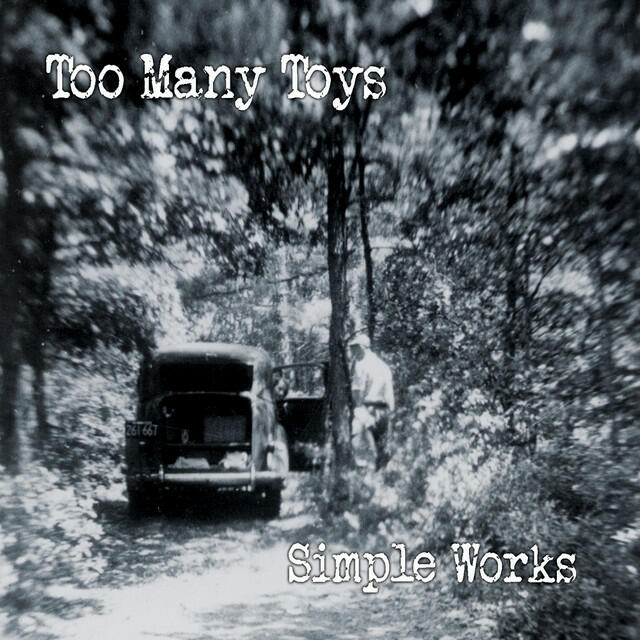 Too Many Toys