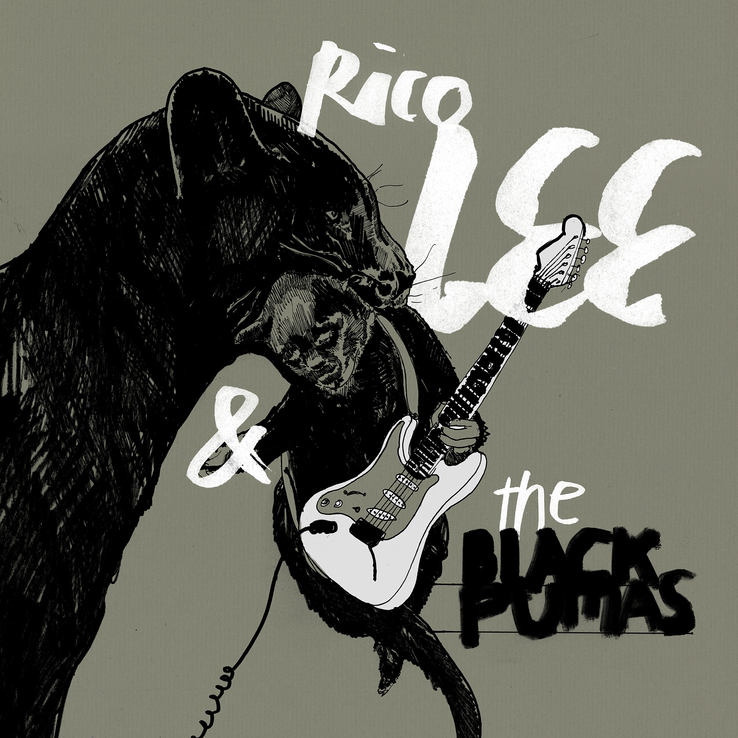 The Black Pumas