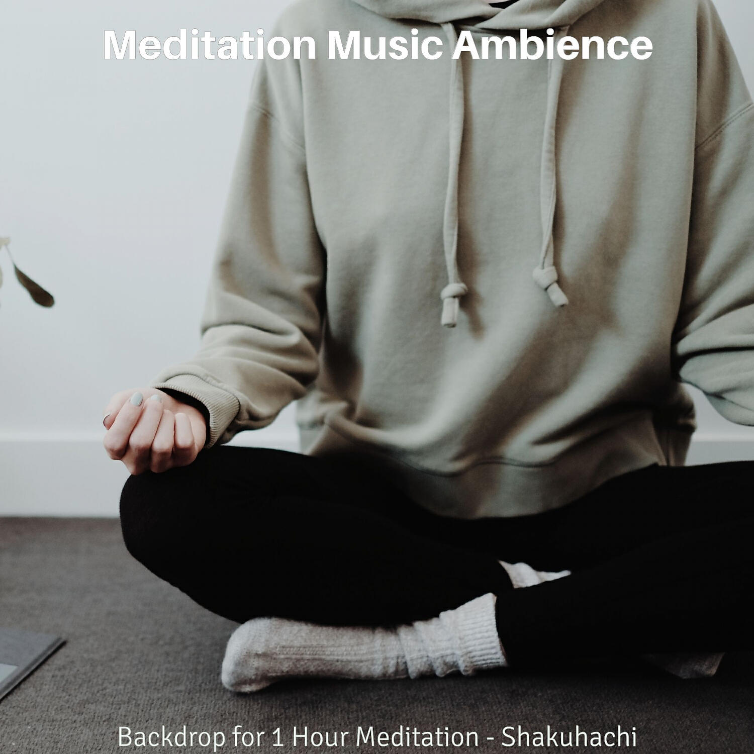 Релиз Backdrop for 1 Hour Meditation - Shakuhachi