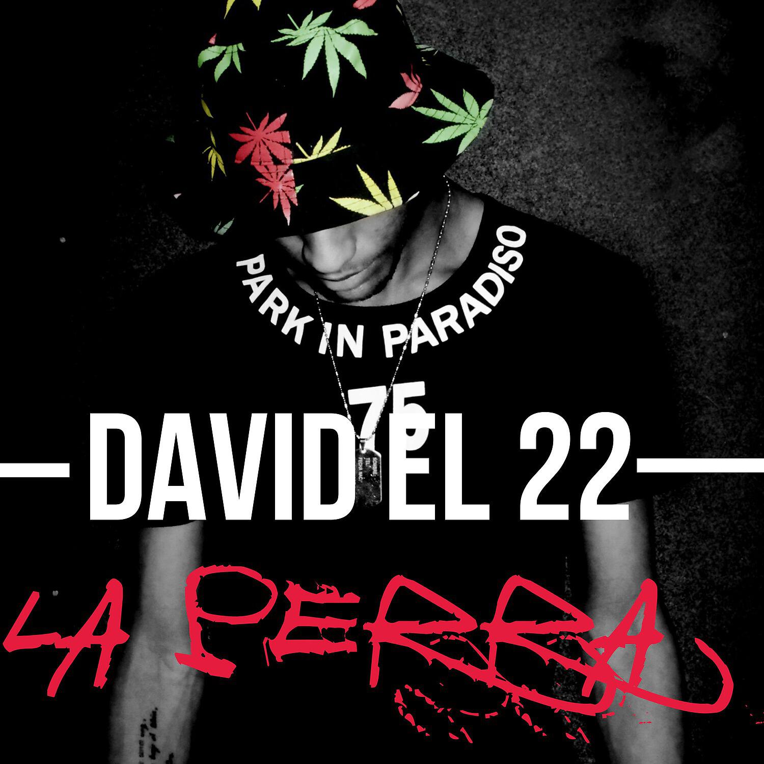 Релиз La perra