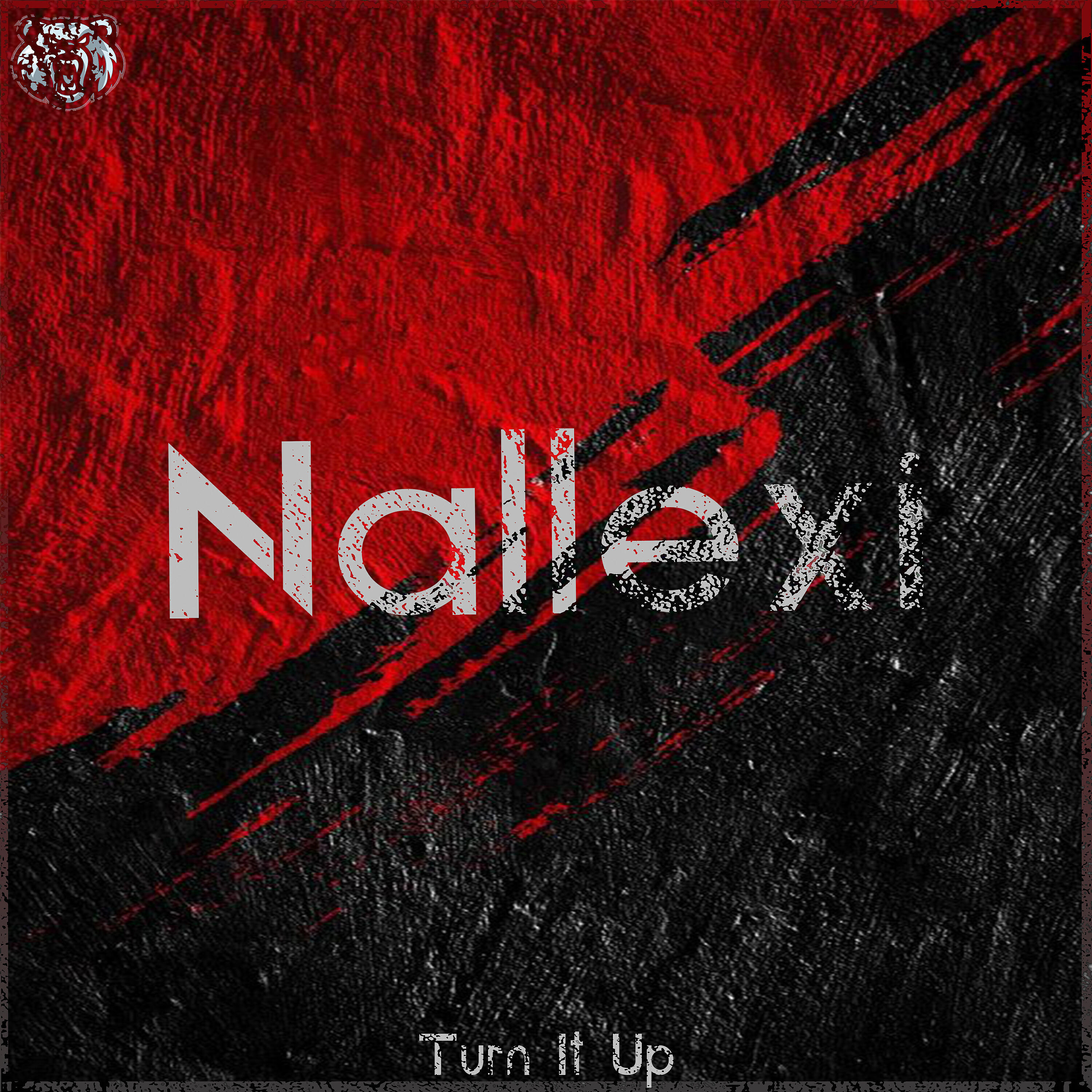 Релиз Turn It Up
