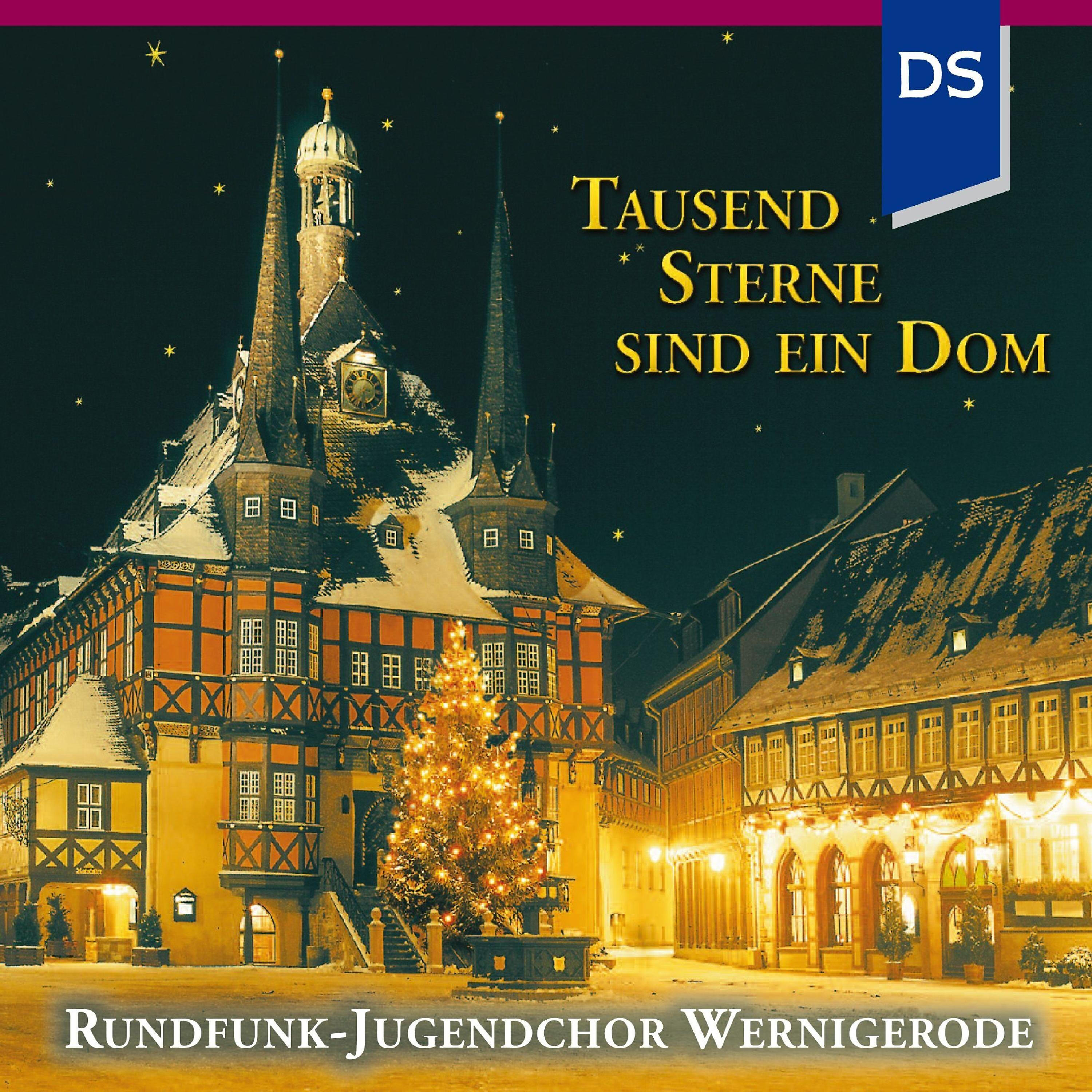 Релиз Tausend Sterne sind ein Dom