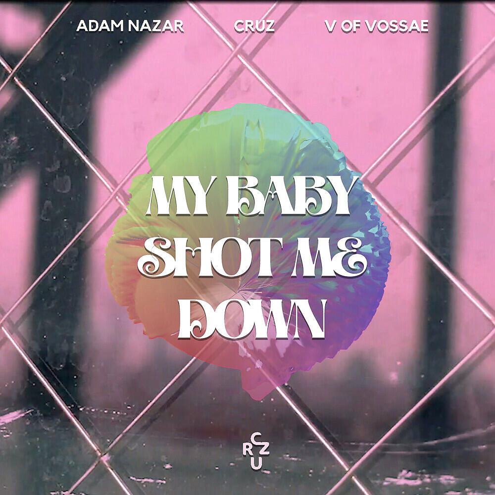 Релиз My Baby Shot Me Down