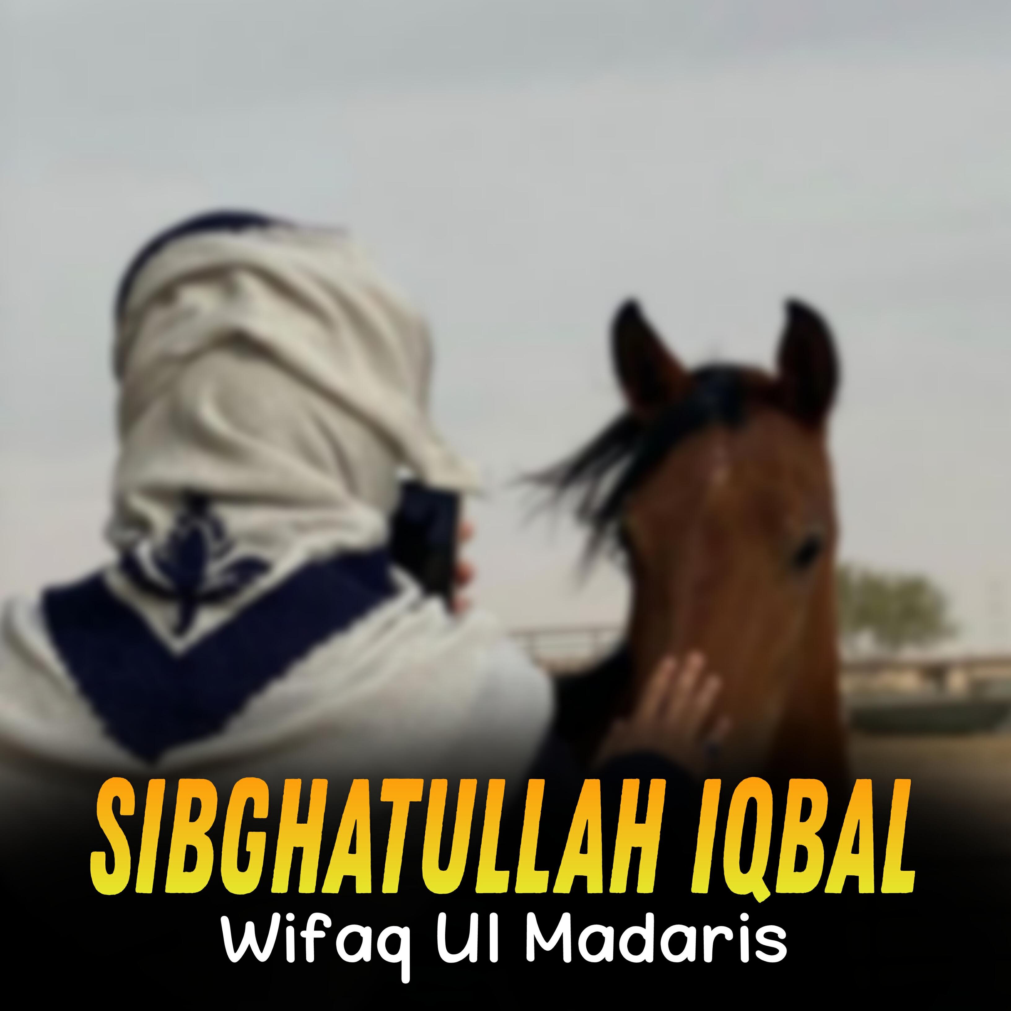 Релиз Wifaq Ul Madaris
