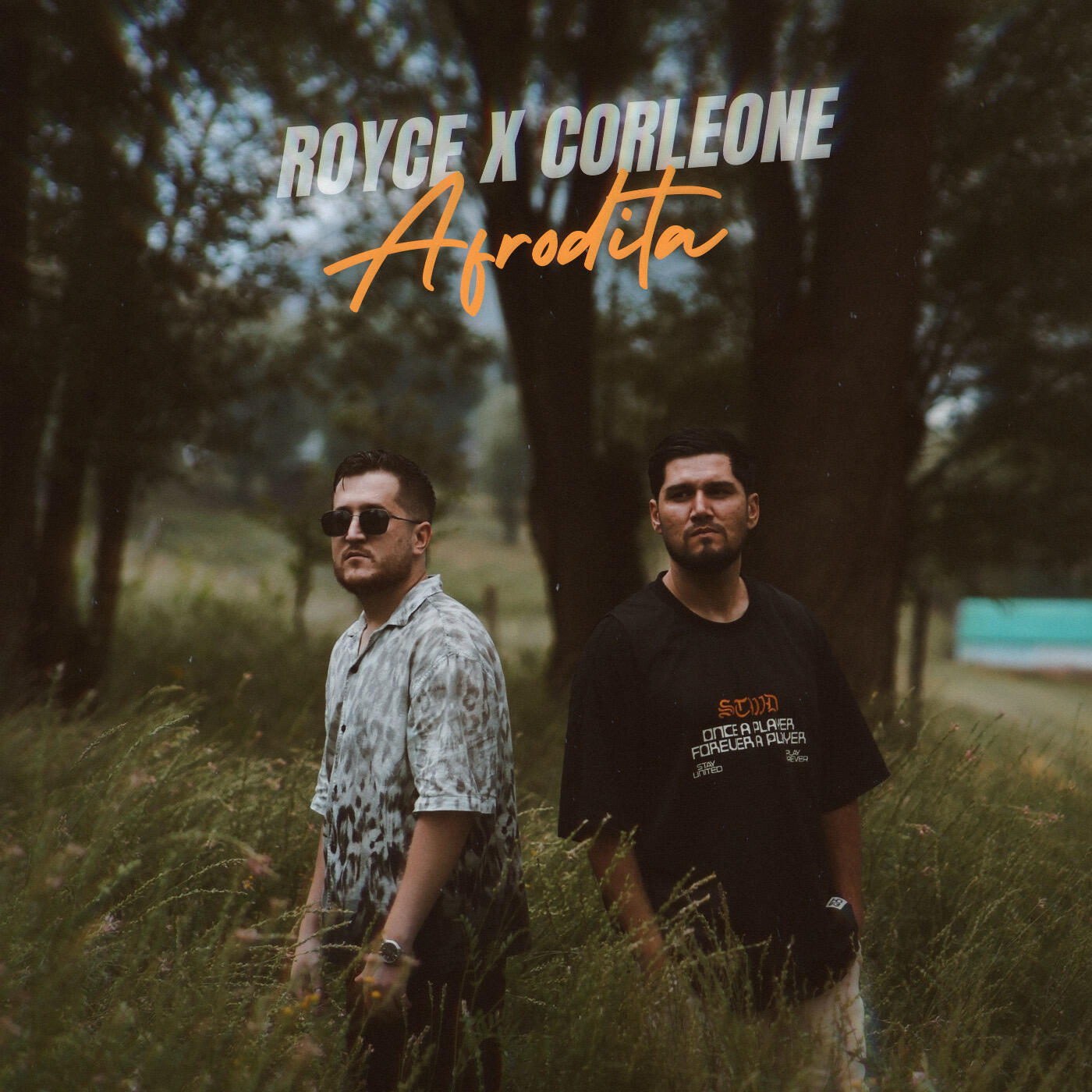 Релиз Afrodita