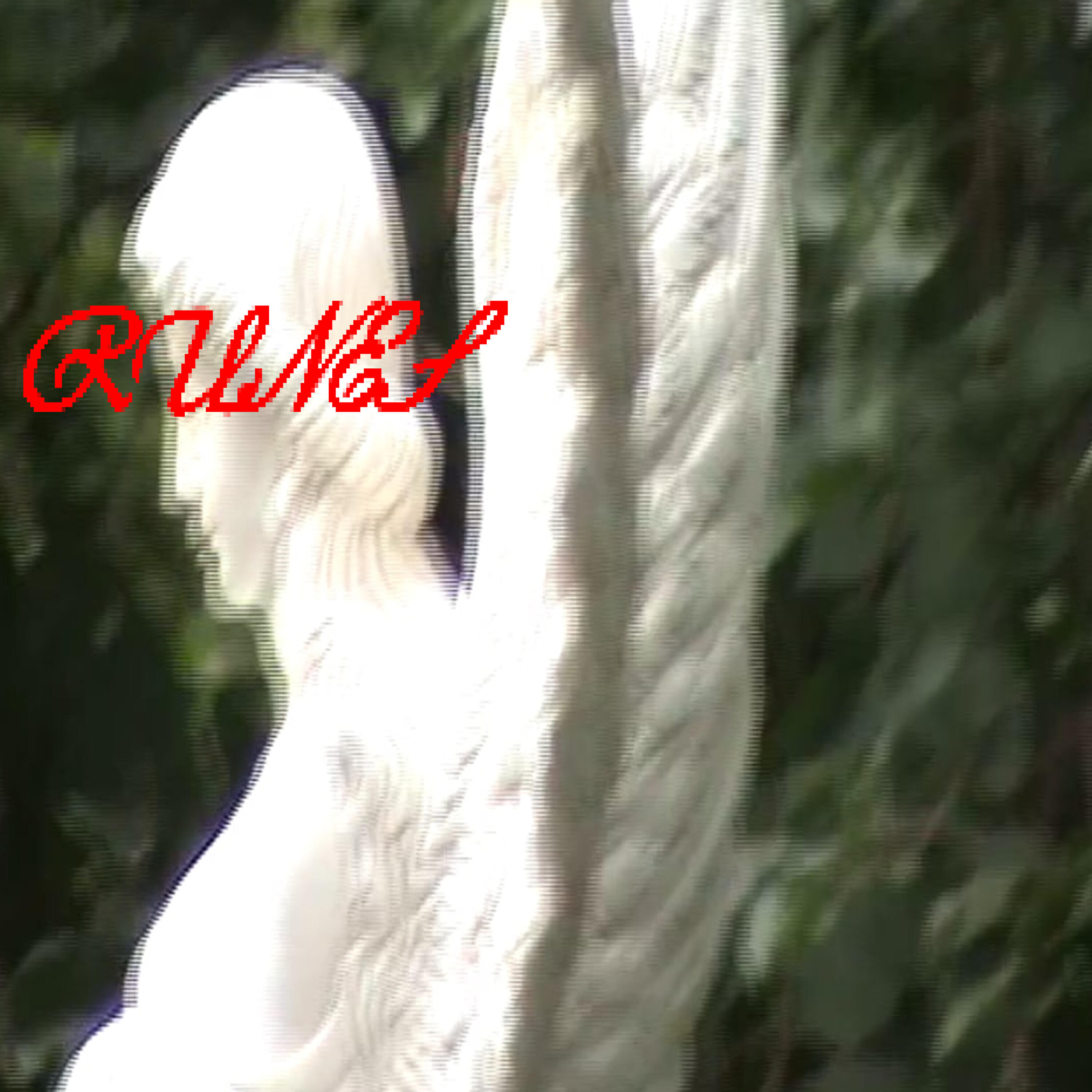 Релиз RUNES