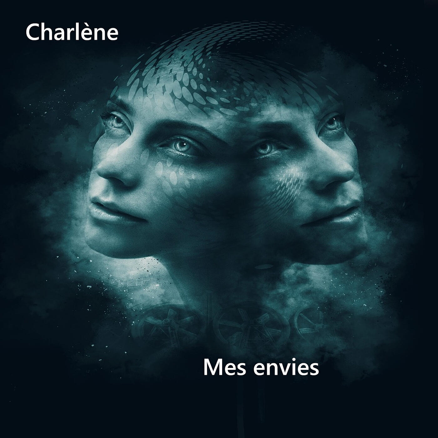 Релиз mes envies