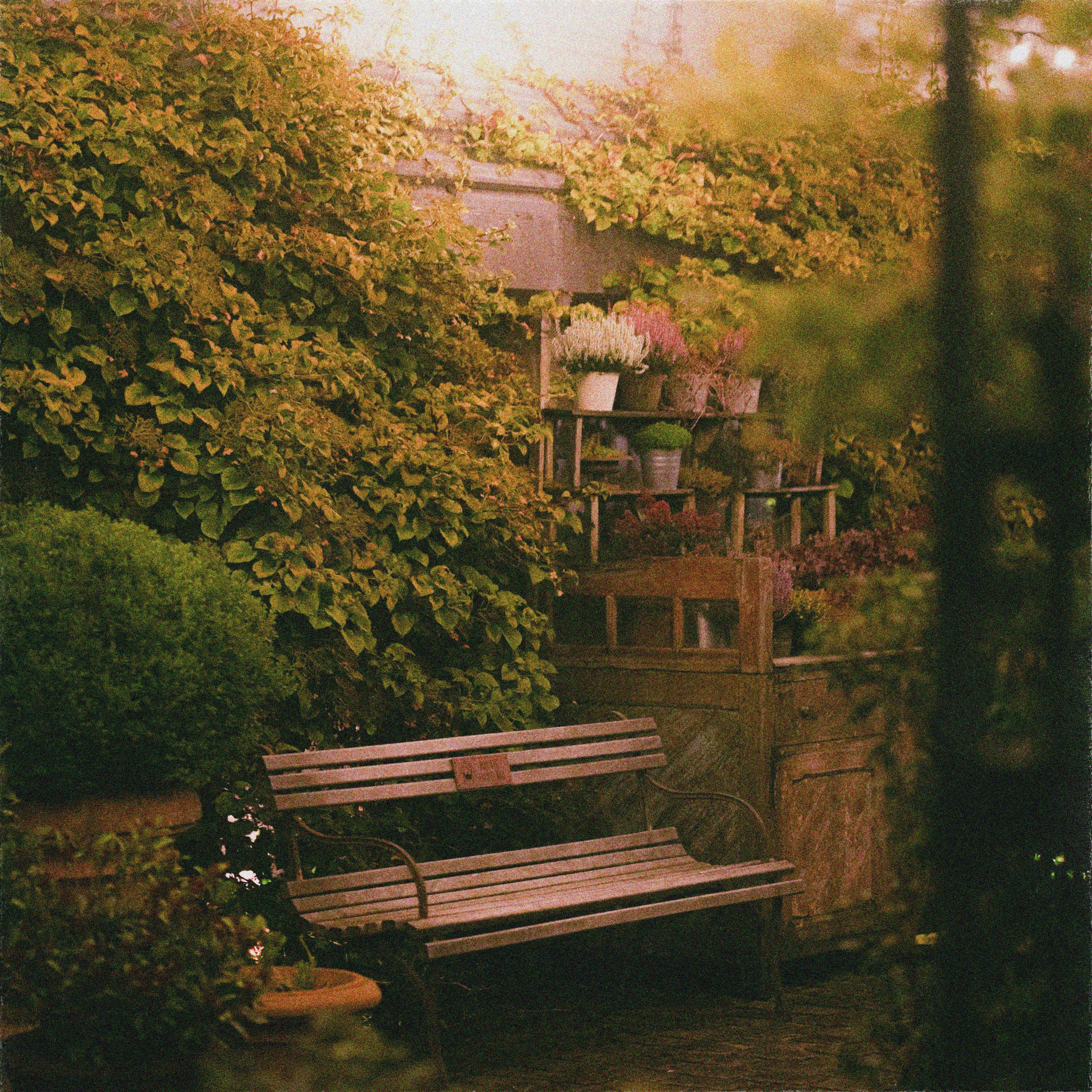 Релиз hideout