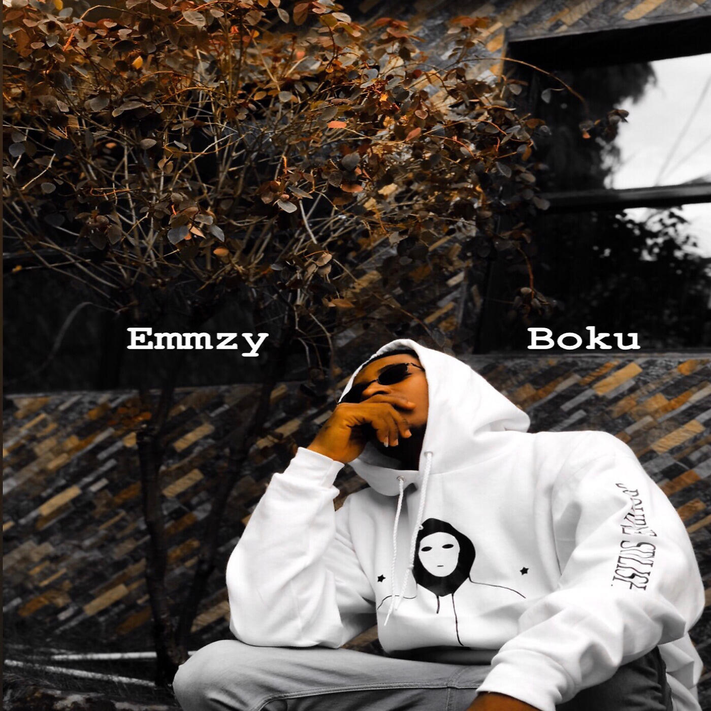 Релиз Boku