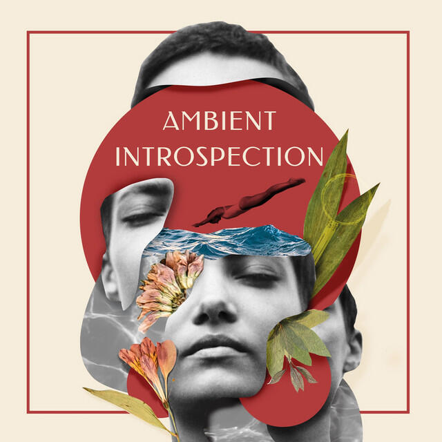 Релиз Ambient Introspection