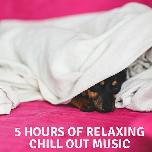 Релиз 5 Hours Of Relaxing Chill Out Music